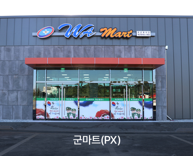 모델 5