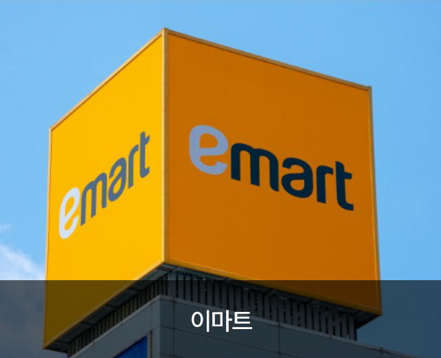 모델 6