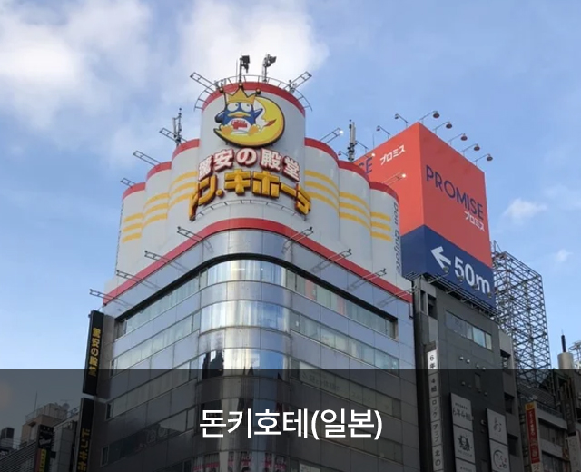 모델 10