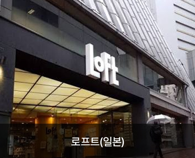 모델 11