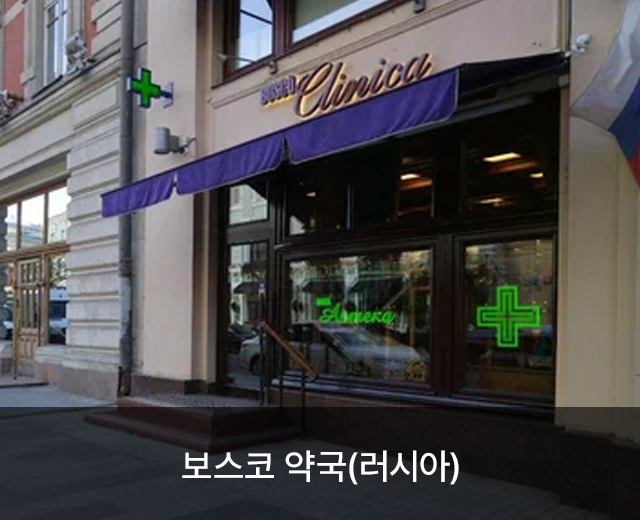 모델 13